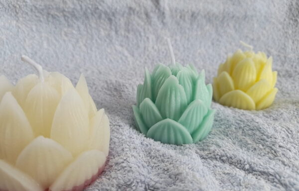 Geurkaas – Lotusbloem